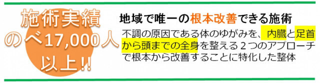 体のゆがみ・内臓の疲労・脳の疲労の３つのバランスを調整し、体の不調を根本から改善することに特化した整体