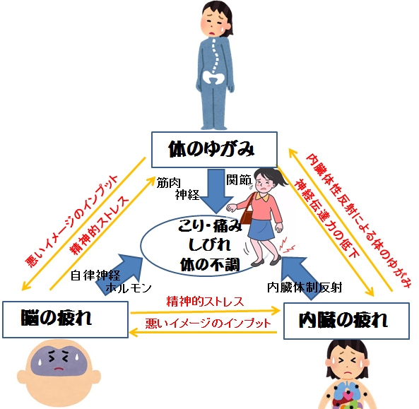 足底筋膜炎が治らない理由