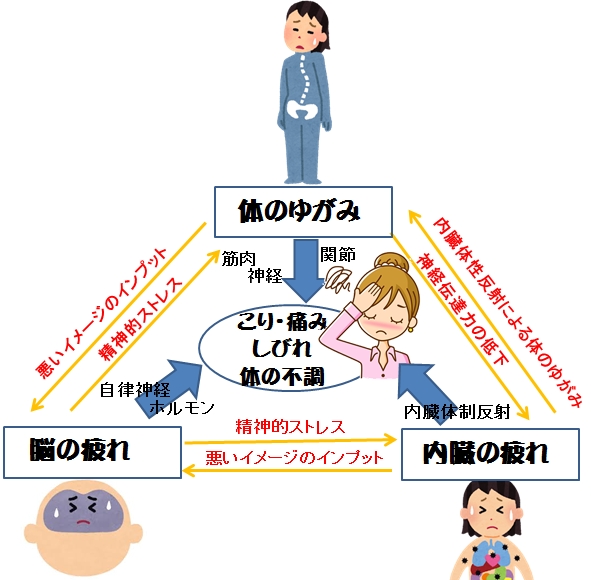 自律神経失調症が治りにくい理由