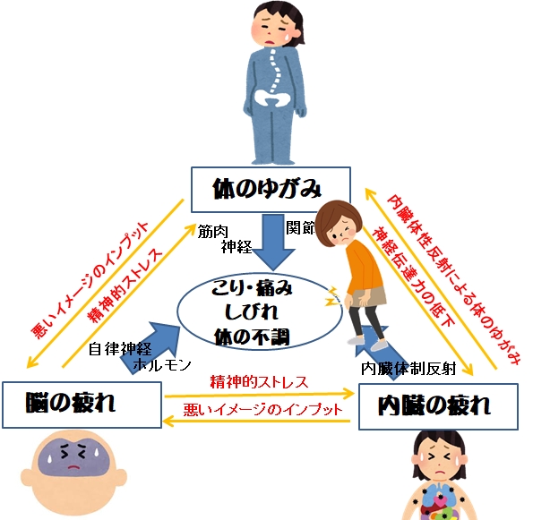 鵞足炎が治らない理由