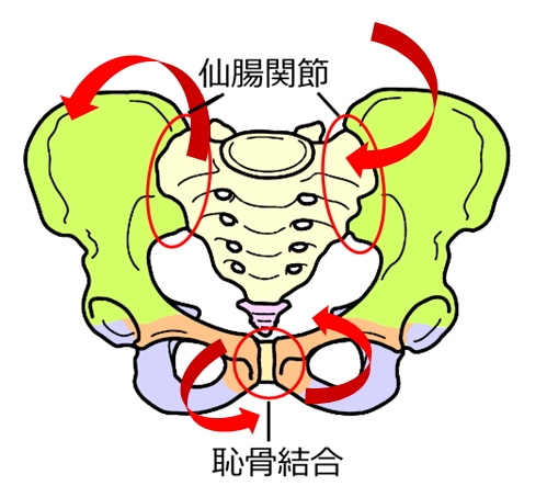 産後の恥骨痛 下関の整体 菊川カイロプラクティック院 口コミno 1