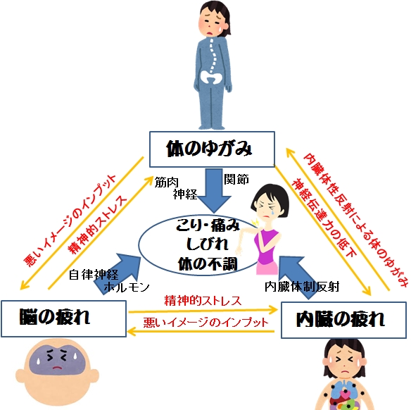 四十肩・五十肩が治らない理由