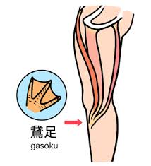 鵞足部分　ガチョウの足