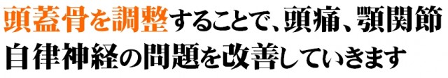 頭蓋骨を調整することで、頭痛、顎関節、自律神経の問題を改善していきます