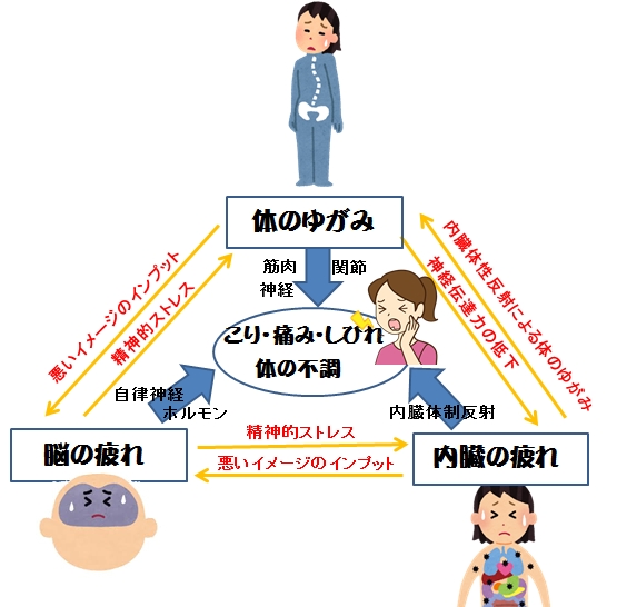 顎関節症が治らない理由