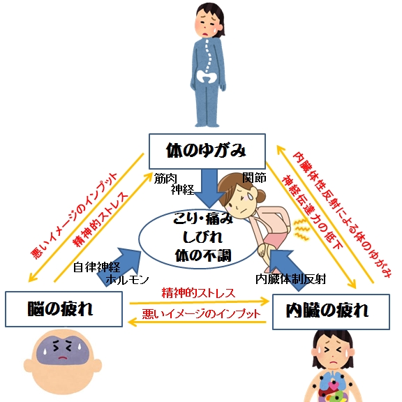 腰痛が治らない理由