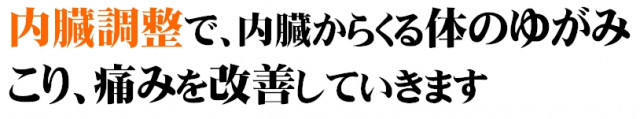 内臓調整で、内臓からくる体のゆがみ、こり、痛みを改善していきます